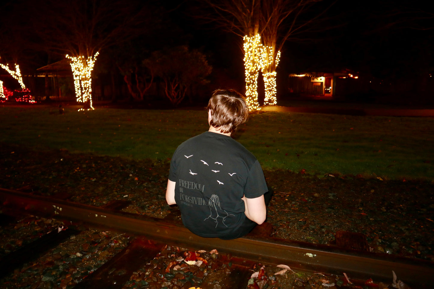 Crown of Freedom Unisex T-Shirt – Ephesians 1:7